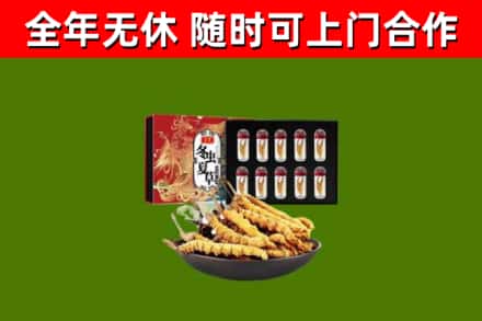 殷都区回收冬虫夏草价格
