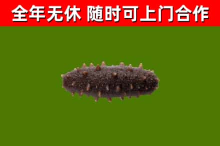 殷都区烟酒回收干海参.jpg